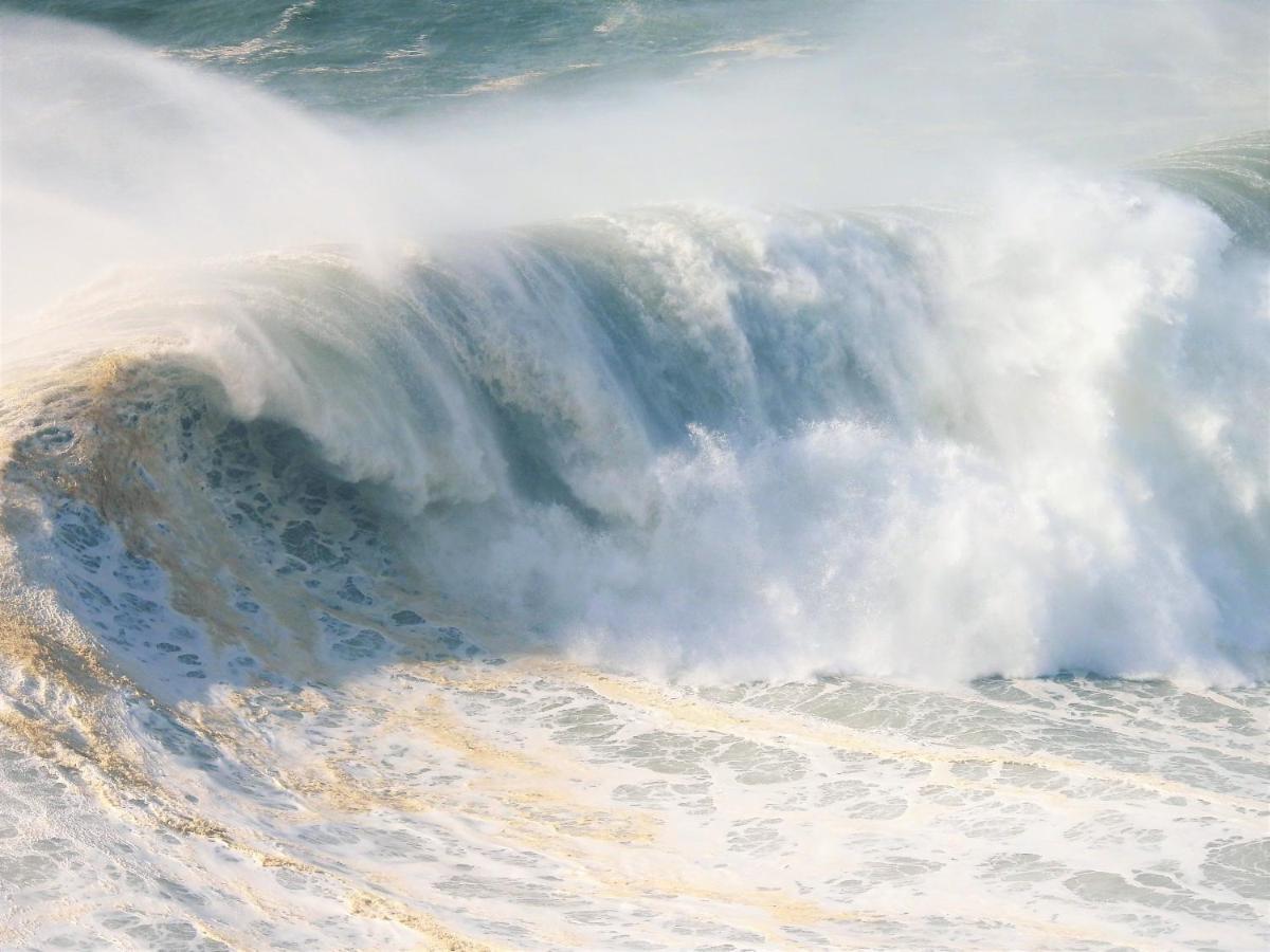 White Swell By Sitio Da Nazare Apartment Bagian luar foto
